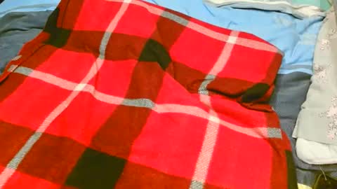 pinewoodman online show from November 10, 7:07 am