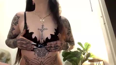Snapshot of pinkgothbunnie chatting on April 19, 2:44 am pinkgothbunnie online show from April 19, 2:44 am