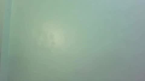 Hi  its me shine  online show from February 13, 11:17 am