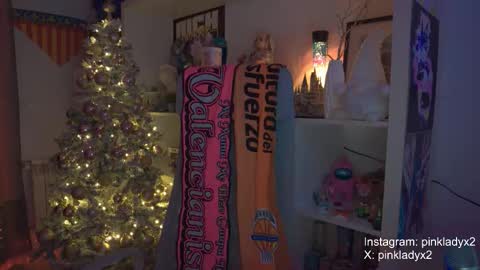 Snapshot of pinkladyx2 chatting on November 22, 12:20 am pinkladyx2 online show from November 22, 12:20 am