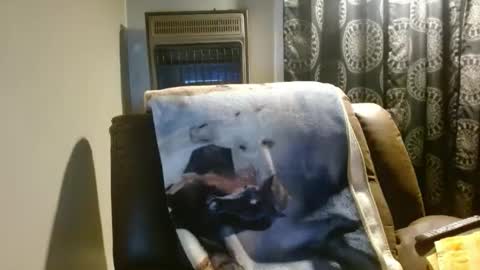 pirate334 online show from March 24, 3:55 am