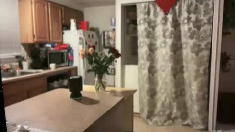 Snapshot of pirdybirdyxo chatting on January 30, 4:06 am pirdybirdyxo online show from January 30, 4:06 am