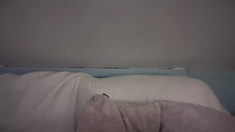 Snapshot of pirdybirdyxo chatting on February 26, 3:42 am pirdybirdyxo online show from February 26, 3:42 am
