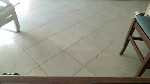 Snapshot of pisellone_xxl chatting on September 19, 1:01 pm pisellone_xxl online show from September 19, 1:01 pm