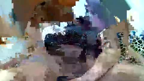 Snapshot of pislezg1 chatting on February 7, 11:45 pm pislezg1 online show from February 7, 11:45 pm