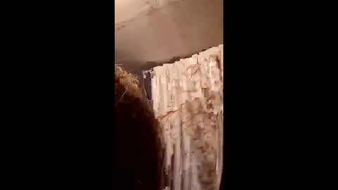 Snapshot of pizzedwife chatting on February 4, 7:09 pm pizzedwife online show from February 4, 7:09 pm