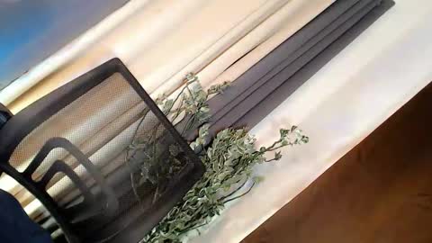 Snapshot of playfulcock69_kate chatting on March 21, 5:01 am kate online show from March 21, 5:01 am