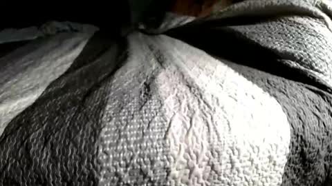 Snapshot of playswithbutt chatting on February 16, 5:47 am playswithbutt online show from February 16, 5:47 am