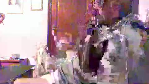 Snapshot of plu07f3520 chatting on April 9, 12:43 am plu07f3520 online show from April 9, 12:43 am