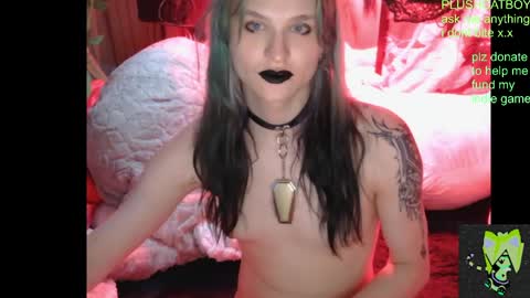 Snapshot of plushcatboy chatting on April 21, 4:08 am plushcatboy online show from April 21, 4:08 am