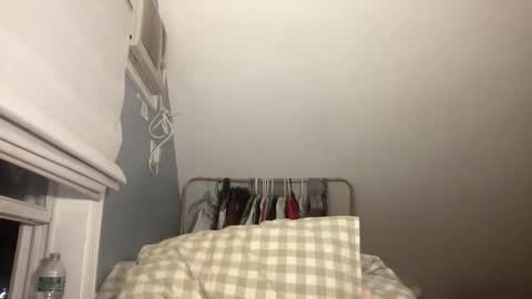 Snapshot of plushicore chatting on February 15, 2:08 am stariette online show from February 15, 2:08 am