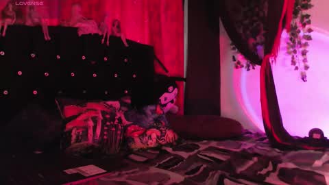 Snapshot of poison__luna chatting on February 15, 12:47 pm Luna online show from February 15, 12:47 pm