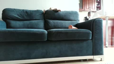 pokusss online show from January 15, 1:05 pm