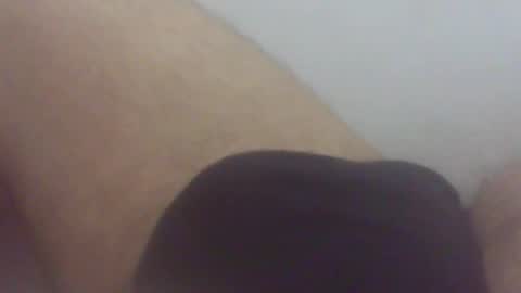 Snapshot of pol2023 chatting on February 8, 12:41 pm pol2023 online show from February 8, 12:41 pm