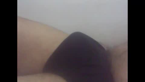 Snapshot of pol2023 chatting on March 15, 2:45 pm pol2023 online show from March 15, 2:45 pm