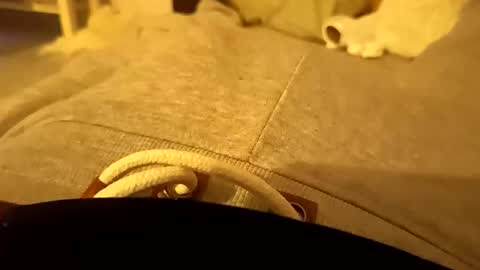 pollontf online show from March 2, 1:41 am