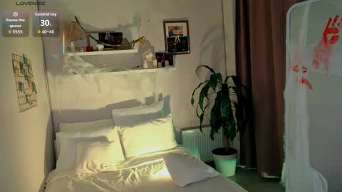  Your Polly  follow me  online show from October 31, 2:18 pm