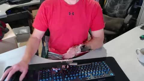 Snapshot of poodledude chatting on October 29, 11:23 am Dave online show from October 29, 11:23 am