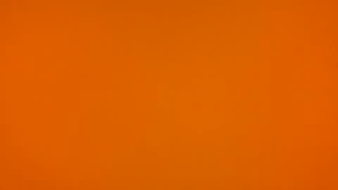 Snapshot of poprigyn53535 chatting on February 22, 10:36 am Poprigyn53535 online show from February 22, 10:36 am