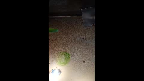 potsymcstoner online show from September 12, 5:46 pm