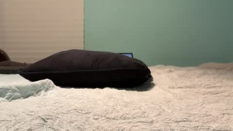 poundkakes online show from July 11, 3:31 am