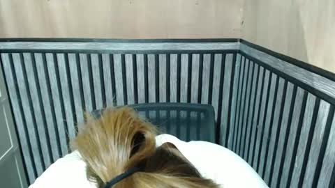 Kate online show from October 8, 7:00 pm