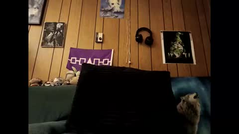 prettysolid7 online show from October 15, 7:19 am