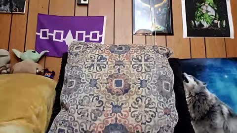 Snapshot of prettysolidd7 chatting on January 28, 8:57 am prettysolidd7 online show from January 28, 8:57 am