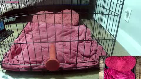 PrIncessJulia0X online show from February 3, 2:53 am