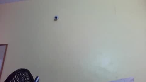 phelly online show from February 4, 11:42 pm