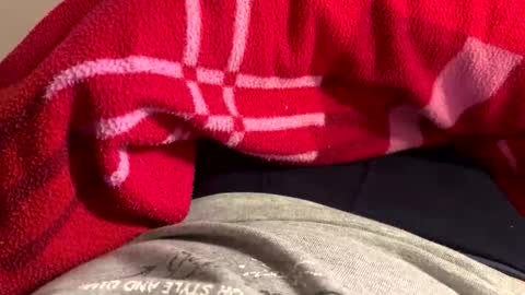 privat2025 online show from February 1, 8:29 pm