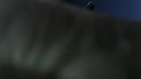 Snapshot of privatefuckit chatting on January 5, 9:51 pm privatefuckit online show from January 5, 9:51 pm