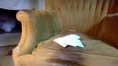 pspee313 online show from February 28, 2:40 pm