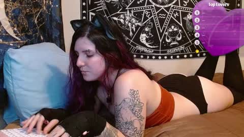 Snapshot of psychoactivekitten chatting on February 4, 8:17 pm Jay online show from February 4, 8:17 pm