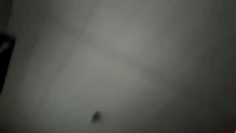 pufftropica online show from January 7, 3:36 pm