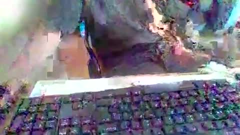 pup_y online show from September 20, 3:02 pm