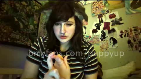 Tboy Puppy online show from September 22, 4:03 am