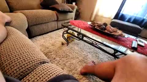 purdyguy7777 online show from March 19, 7:40 pm