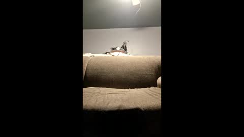 pussylicker517038 online show from April 29, 2:37 am