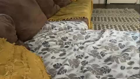 Bree online show from July 1, 6:51 pm