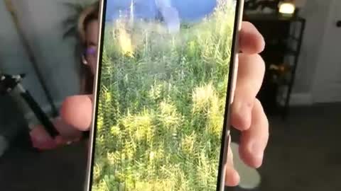 Bri online show from November 17, 3:34 am