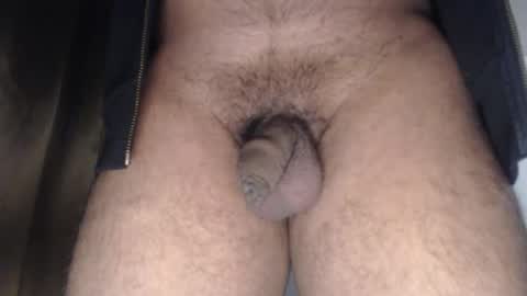 oilypanda online show from January 18, 12:53 pm