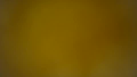 quinnxx online show from February 26, 7:51 am