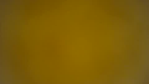 quinnxx online show from March 24, 8:19 am