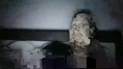 qwezxcqweasdzxc online show from October 23, 2:44 am