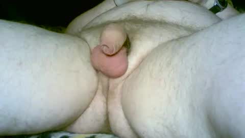 Dumbo online show from February 12, 6:08 am