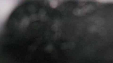 Dmitry online show from March 11, 7:58 pm