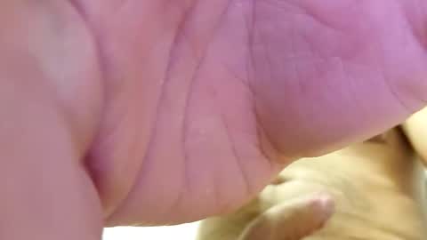 raidehot online show from October 21, 11:44 am