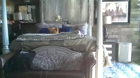 Randy8inbater online show from January 18, 8:12 pm