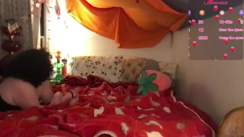 Tommy online show from February 6, 1:16 am